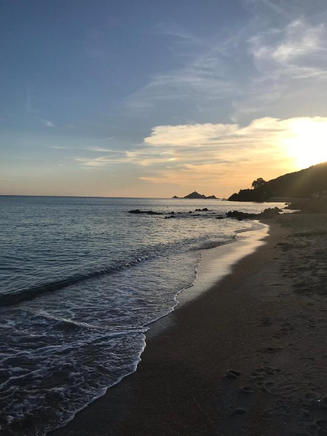 Magnifique Villa Recente Entre Mer Et Montagne Situee Entre Ajaccio Et Porticcio Cauro Bagian luar foto