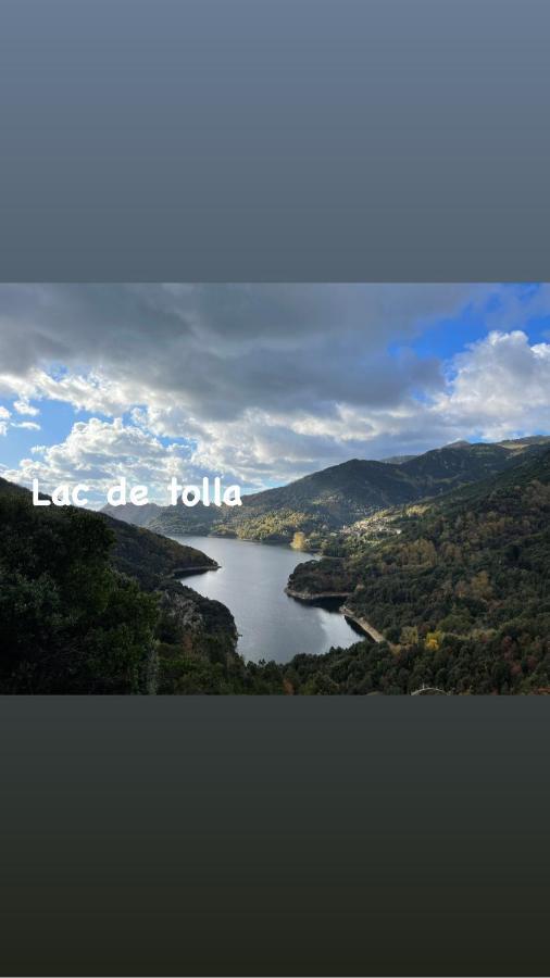 Magnifique Villa Recente Entre Mer Et Montagne Situee Entre Ajaccio Et Porticcio Cauro Bagian luar foto